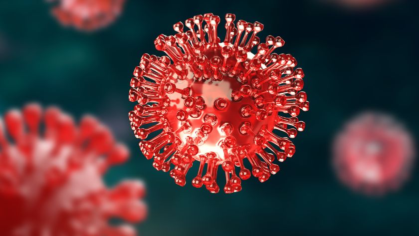 Reconfinement : Coronavirus et immobilier : Que pouvez-vous encore faire ?